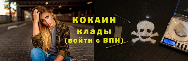 спиды Каменногорск
