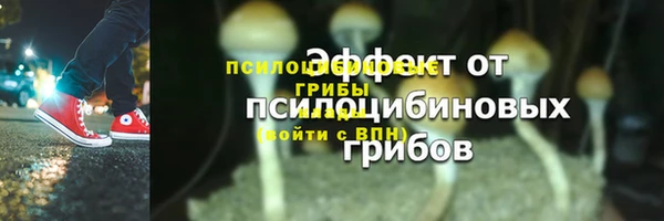 спиды Каменногорск