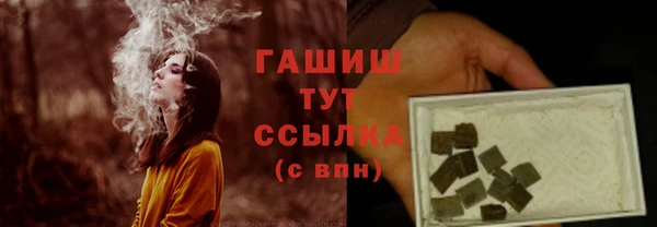 спиды Каменногорск