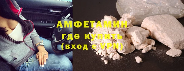 спиды Каменногорск