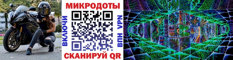 Купить  Архангельск  Галлюциногенные грибы Psilocybe 