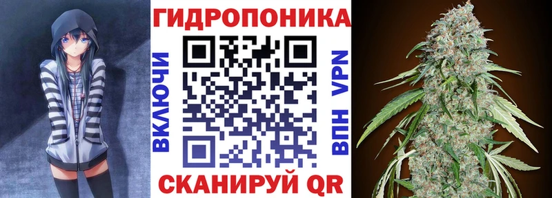 Купить где  Архангельск  Марихуана OG Kush 
